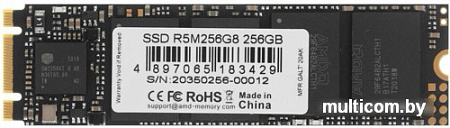 SSD AMD Radeon R5 256GB R5M256G8