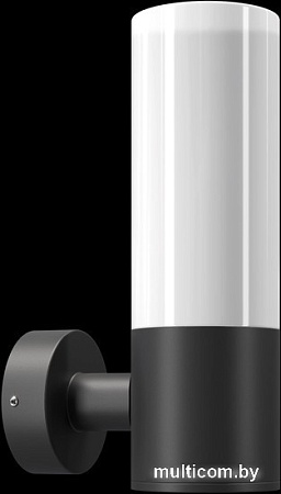 Уличный настенный светильник Maytoni Willis O418WL-01B