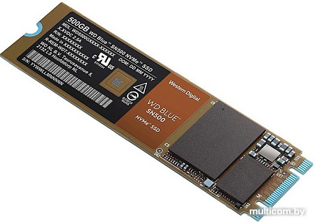SSD WD Blue SN500 250GB WDS250G1B0C