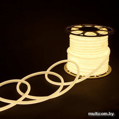 Гибкий неон Elektrostandard 220V 9.6W 144Led 2835 IP67 круглый дневной белый a052996