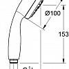 Душевая лейка Grohe New Tempesta 100 28261002