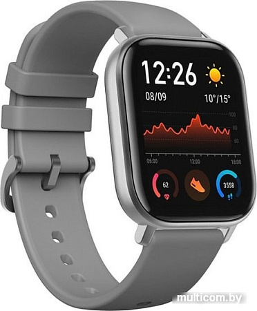 Умные часы Amazfit GTS (серый)