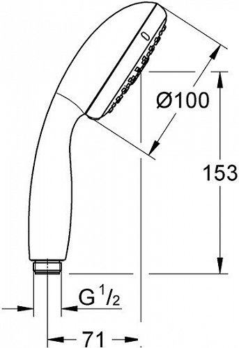 Душевая лейка Grohe New Tempesta 100 28261002