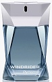 Туалетная вода Paris Bleu Parfums Windrider Dynamic EdT (100 мл)