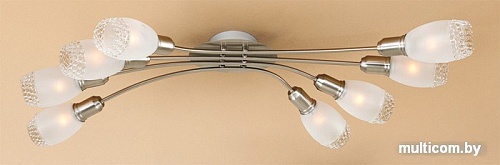 Люстра Citilux Мери (матовый хром) [CL524181]