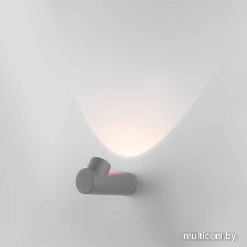 Уличный настенный светильник Elektrostandard Ray LED 35134/W (серый)