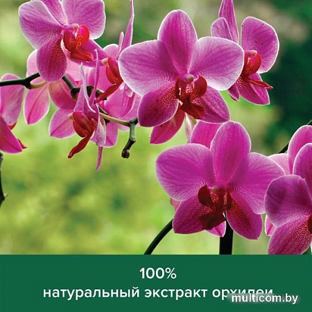 Косметика по уходу за телом Palmolive Мыло жидкое Натурэль Роскошная мягкость Черная орхидея 300 мл