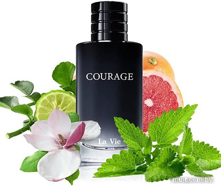 Dilis Parfum Courage EdP (100 мл)