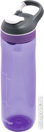 Бутылка для воды Contigo Cortland 2106517 (сиреневый)