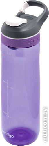 Бутылка для воды Contigo Cortland 2106517 (сиреневый)