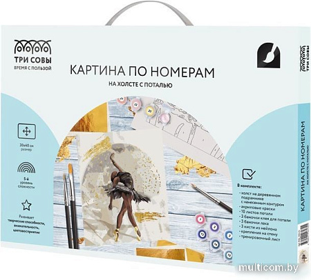 Картина по номерам Три совы Балерина КХп_48135