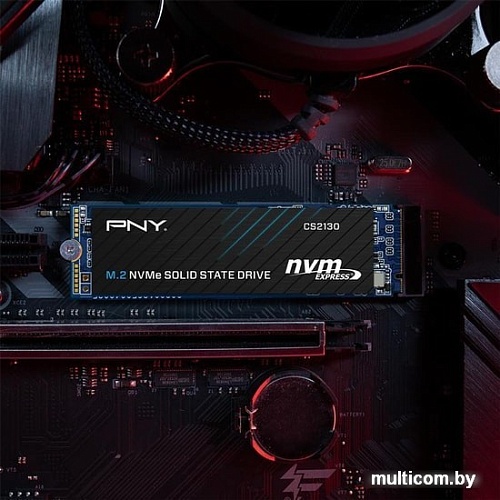 SSD PNY CS2130 500GB M280CS2130-500-RB
