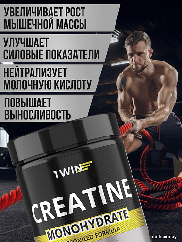 Моногидрат креатина 1WIN Моногидрат (200г, без вкуса)