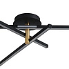 Подвесная люстра Lumion Ledio Parker 6547/56CL
