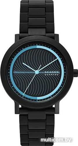 Наручные часы Skagen Aaren SKW6769