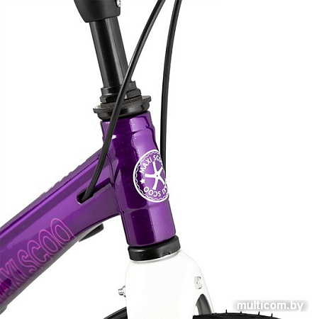Детский велосипед Maxiscoo Space MSC-S1815D (фиолетовый)