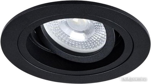 Точечный светильник Arte Lamp Tarf A2177PL-1BK