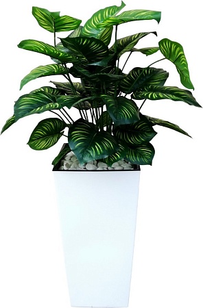 Искусственное растение Forgarden Филодендрон пестролистный BN11138
