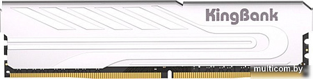 Оперативная память KingBank KJXS 8ГБ DDR4 3200 МГц K5.01.FP049C7202