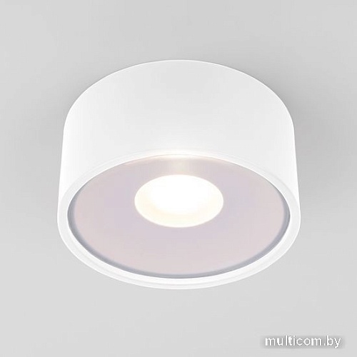 Уличный накладной светильник Elektrostandard Light LED 2135 35141/H (белый)