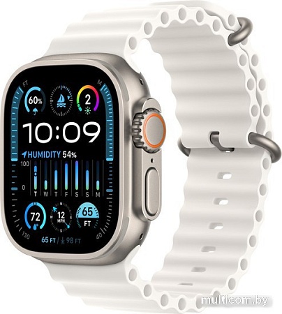 Умные часы Apple Watch Ultra 2 LTE 49 мм (титановый корпус, титановый/белый, ремешок из эластомера)