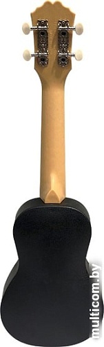 Укулеле Terris PLUS Bus