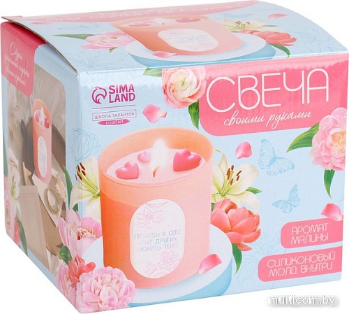 Набор для изготовления свечей Школа талантов С формовыми элементами 10092825