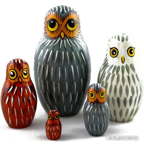 Развивающая игра Брестская Матрешка Совы (набор 5 шт)