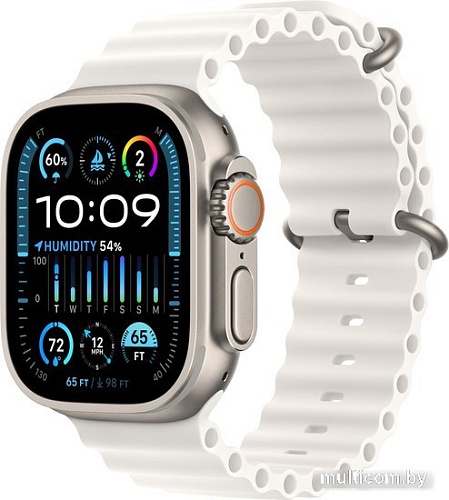 Умные часы Apple Watch Ultra 2 LTE 49 мм (титановый корпус, титановый/белый, ремешок из эластомера)