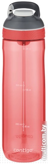Бутылка для воды Contigo Cortland 2137560 (Джорджия пинк)
