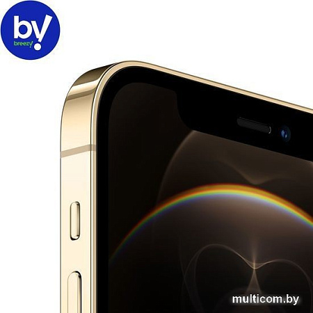 Смартфон Apple iPhone 12 Pro 256GB Восстановленный by Breezy, грейд A (золотистый)