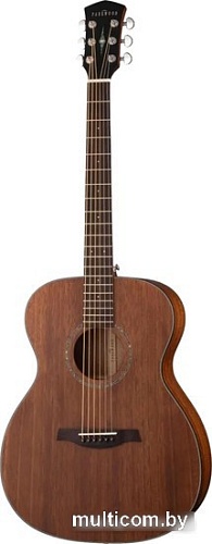 Акустическая гитара Parkwood S22M-NS