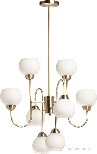 De City Оливия 306016208