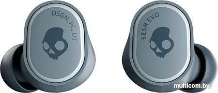 Наушники Skullcandy Sesh Evo (серый)