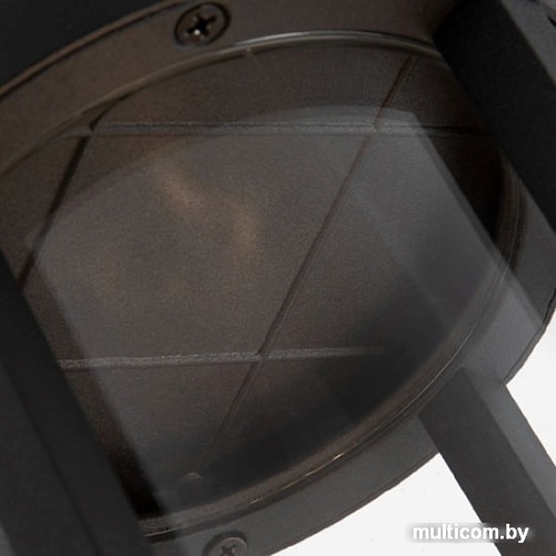 Arte Lamp A1036FN-1BK