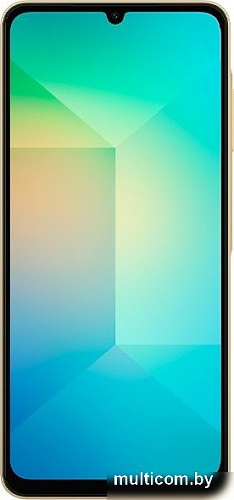 Смартфон Samsung Galaxy A06 SM-A065F 6GB/128GB (золотистый)