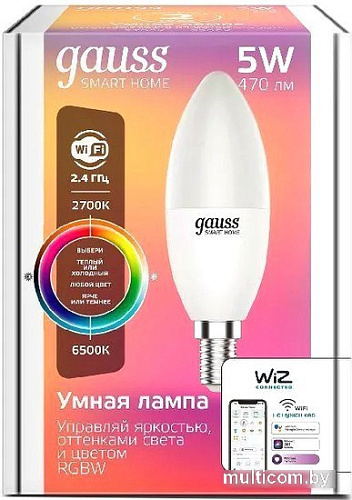 Gauss Smart Home E14 5 Вт 2700-6500K 1190112