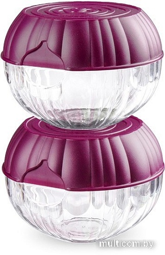 Контейнер Бытпласт 431288604