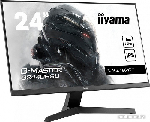 Монитор Iiyama G-Master G2440HSU-B1