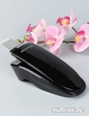 Прибор для ультразвукового пилинга Gezatone Bio Sonic 1007