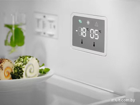 Холодильник Electrolux LNT5ME32U1