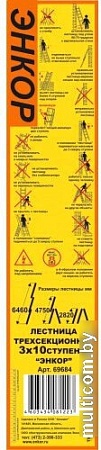 Лестница Энкор 69684 (10 ступеней)