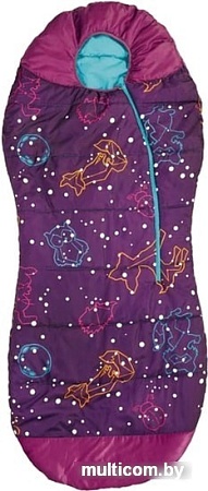 Спальный мешок AceCamp 3979 (фиолетовый/кокон)