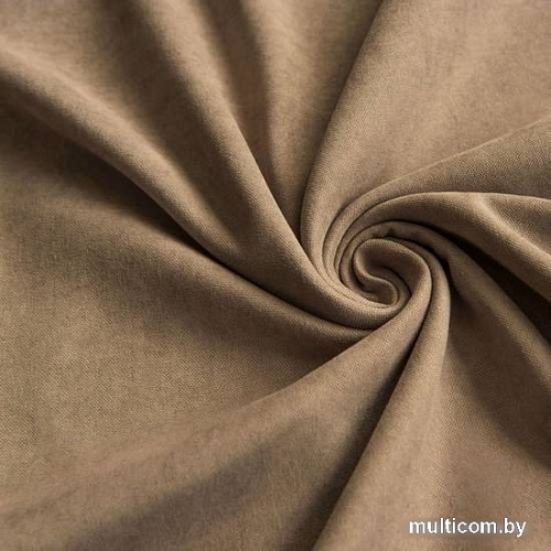 Комплект штор Pasionaria Софт 480x250 с подхватами (темно-бежевый)