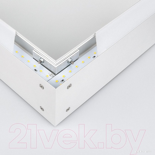 Подсветка для картин Elektrostandard 101-100-30-103 20W 6500K (матовое серебро)