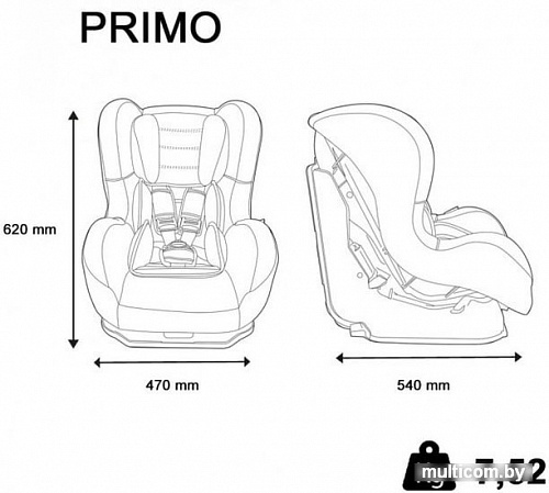 Детское автокресло Nania Primo Luxe (серый)