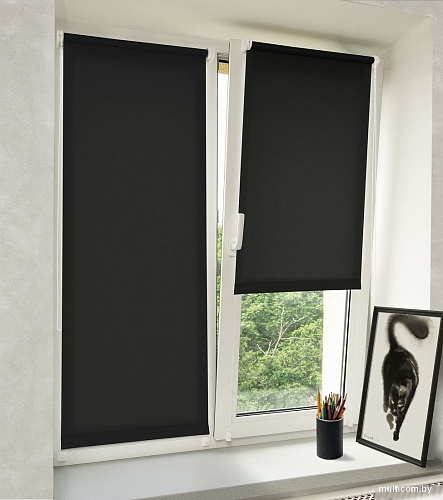 Рулонные шторы Delfa Сантайм Лен СРШ-01 МД2681 (34x170, черный)