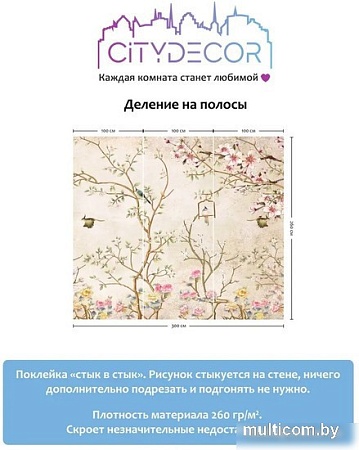 Фотообои Citydecor Абстракция 60 300x260