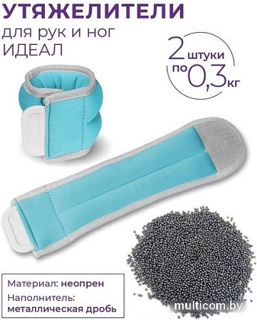 Комплект утяжелителей Indigo Идеал 2x0.3 кг SM-408/0,3 (бирюзовый)