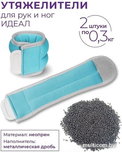 Комплект утяжелителей Indigo Идеал 2x0.3 кг SM-408/0,3 (бирюзовый)